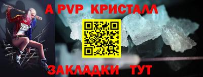 стафф Кингисепп