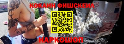 стафф Кингисепп