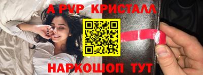 стафф Кингисепп