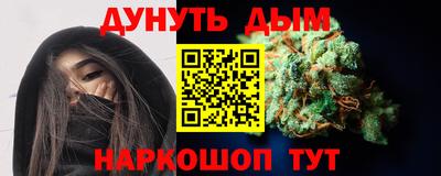 стафф Кингисепп