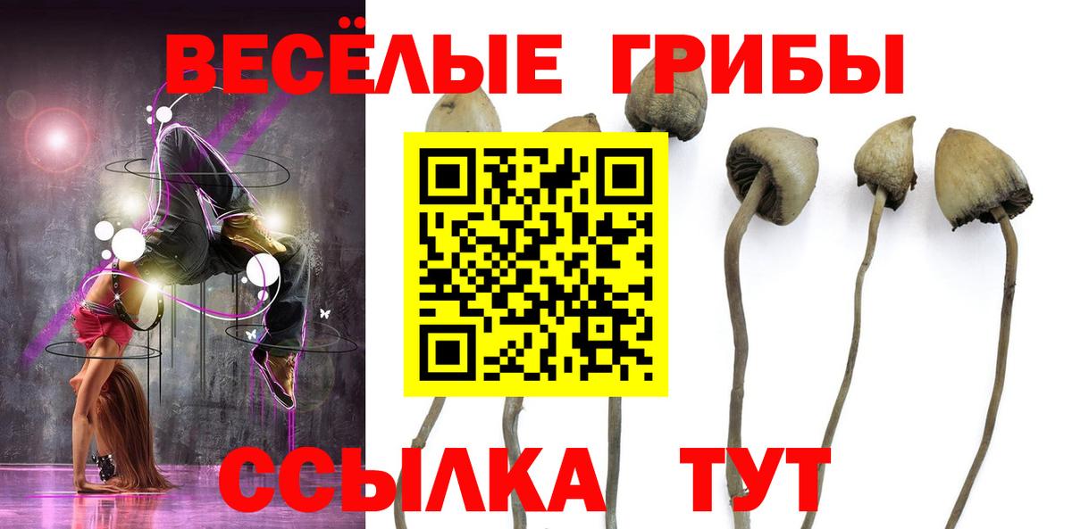 закладки  Псилоцибиновые грибы ЛСД  Вход с VPN  Балашов 